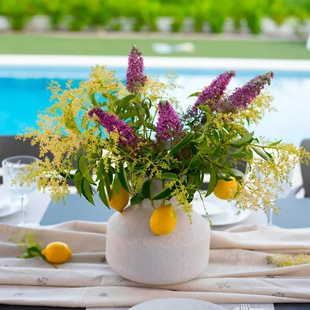 Villa Sika With Heated Pool Near Split